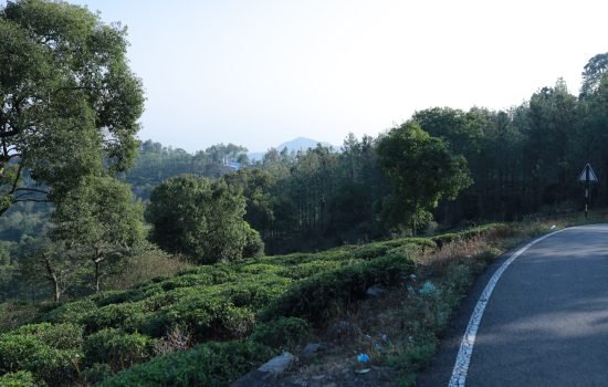 resorts in Kotagiri